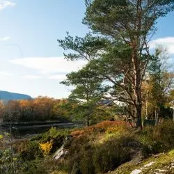 Z części dziennej domu widać norweskie fiordy