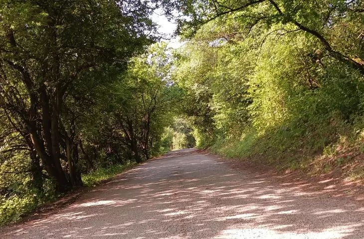 Zakrzówek without a parking lot - tender cancelled