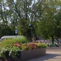 jak kształtować dyskusje o przestrzeniach miejskich w Polsce