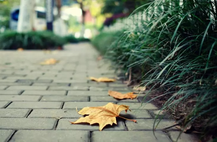 Functional and stylish paving in front of your home