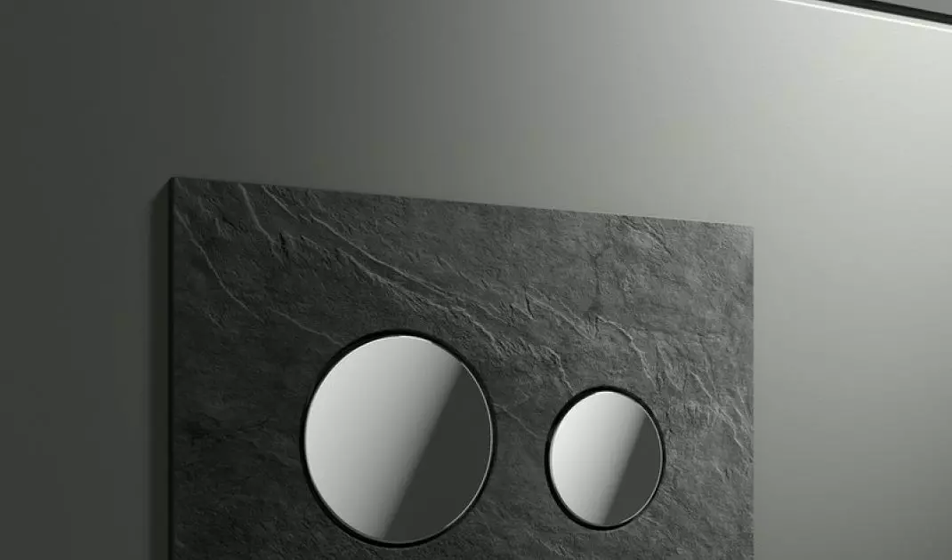 Flush button