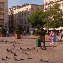 Jak możemy poprawić jakość polskich przestrzeni publicznych?