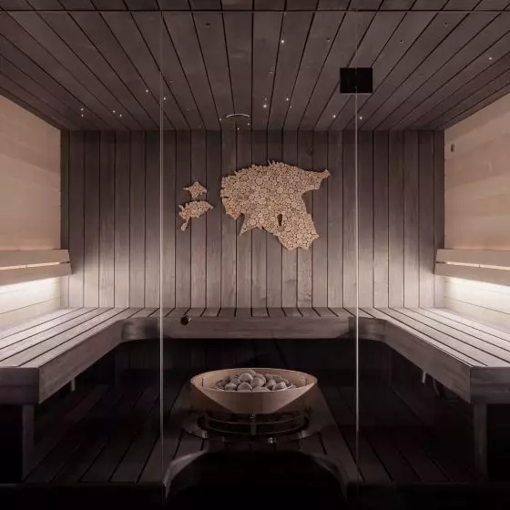 Domowa sauna