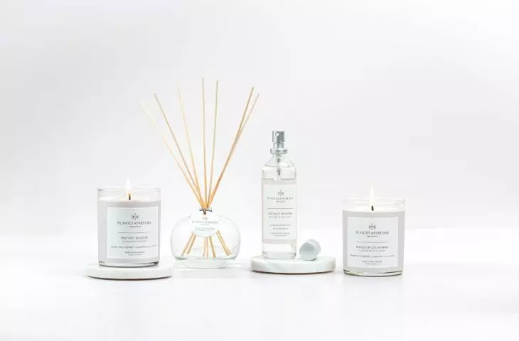 Plantes & Parfums – ulubione zapachy do domu francuskich influencerek