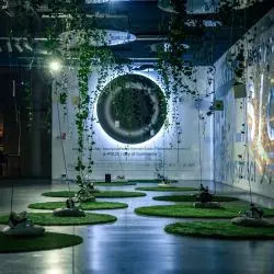 Biennale Kultura Futura w Małopolskim Ogrodzie Sztuki w Krakowie