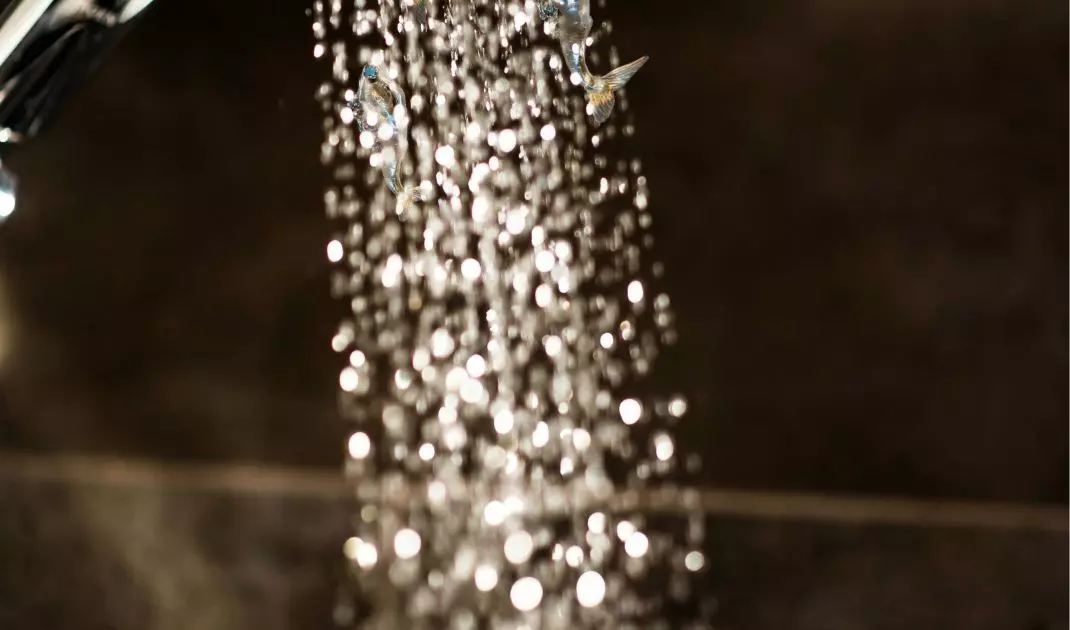 Choosing a shower handset