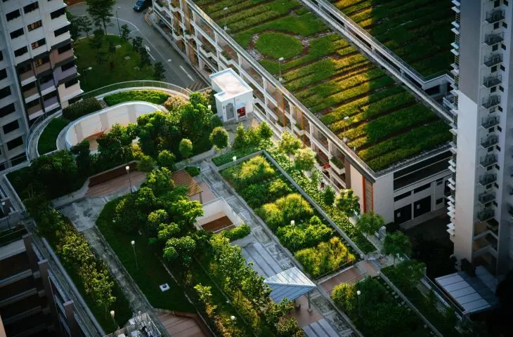 Building responsibly with Vertua
