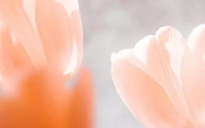 Peach Fuzz kolorem roku 2024 według Instytutu Pantone