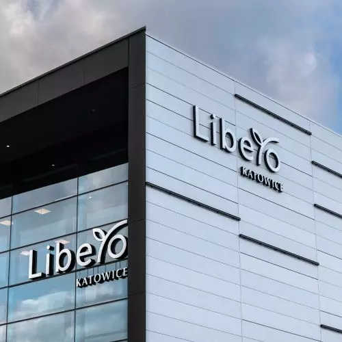 Architectural facade systems and sandwich panels