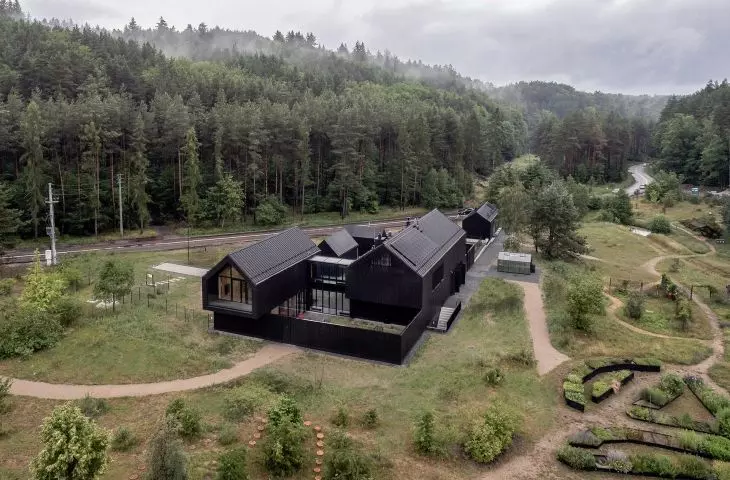 Opalane drewno od Wood of Fire. Sztuka i ochrona