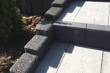 Palisada Hestra