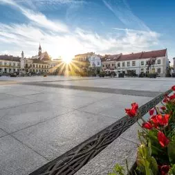 RYNEK | BOCHNIA