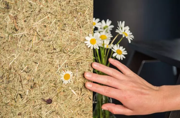 Atpol - veneers and decorative surfaces - products of excellent quality, ecological and safe to use