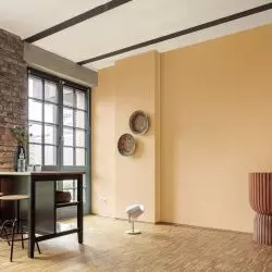 Dzięki usłudze barwienia Color Expres kolorystyka farb Caparol jest niezliczona