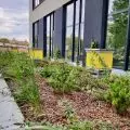 ZIDA technologie dachów zielonych: zielone dachy, substraty dachowe