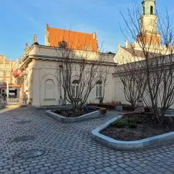 Stary Rynek w Poznaniu, 28.12.2023 r., nowe drzewa i miejsce na niską zieleń po południowej stronie Odwachu