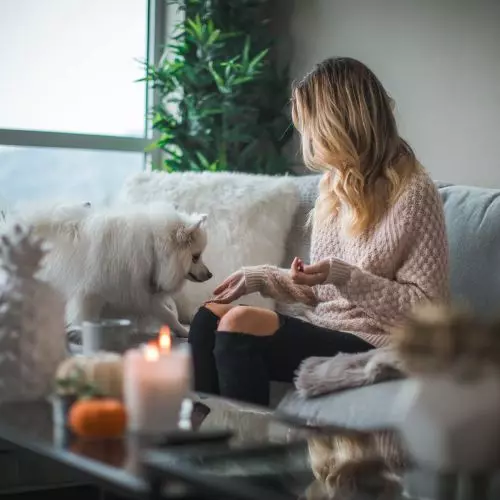 Animals in the house. What finishing materials should you choose??
