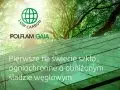 Pierwsze na świecie szkło ogniochronne o obniżonym śladzie węglowym