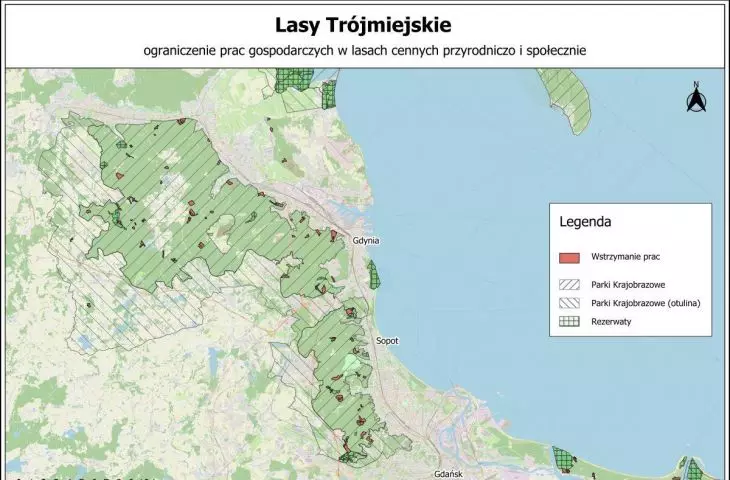 W Trójmiejskim Parku Krajobrazowym mniej drzew trafi pod topór