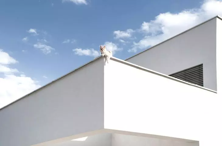 „Prostota pod każdym względem”. Minimalistyczny dom jednorodzinny w Tychach projektu DD Architekci
