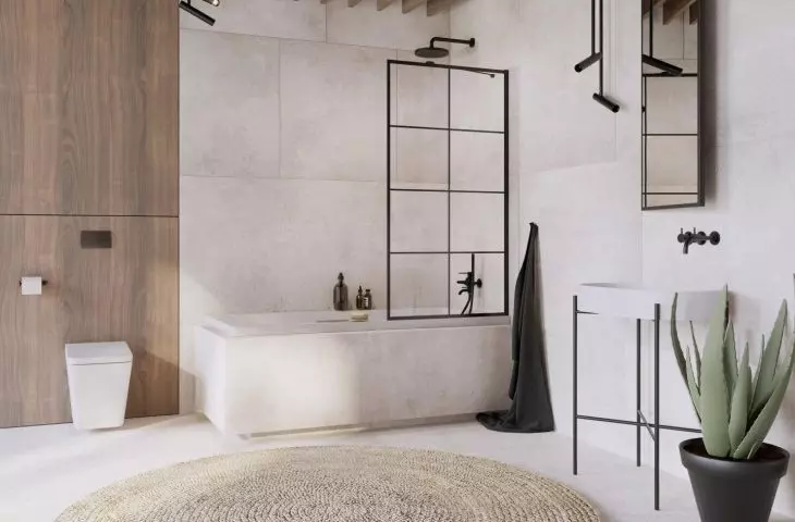 Bathtub and shower in one. What is a bathtub screen?