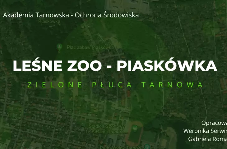 Leśne Zoo - Piaskówka
