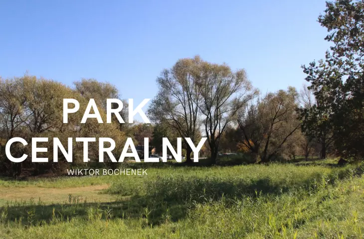 Park Centralny — Idea