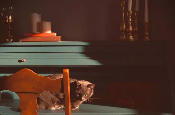 Nuta nostalgii, czyli ślady historii we wnętrzach
