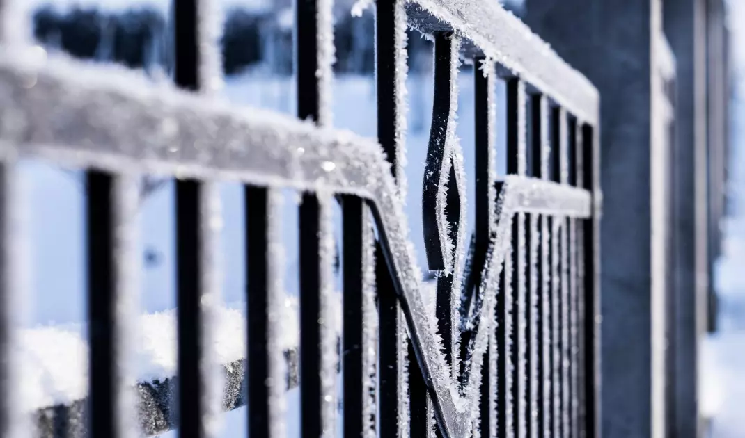 Winter-proof fence