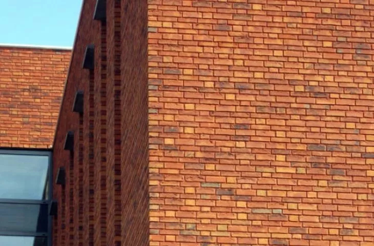 Cegły i płytki VIOLA LIGHT