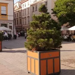 czy „betonoza” się skończyła?