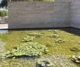 pawilon Miesa van der Rohe po interwencji „White Waterlilies” w 2022 roku, proj.: Grupa Projektowa CENTRALA