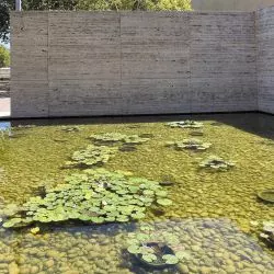 pawilon Miesa van der Rohe po interwencji „White Waterlilies” w 2022 roku, proj.: Grupa Projektowa CENTRALA