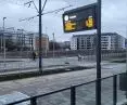 Polanka i Łacina w Poznaniu, nowe osiedla bez centrum integracji, widok na miejsce pod park i „usługi sakralne”