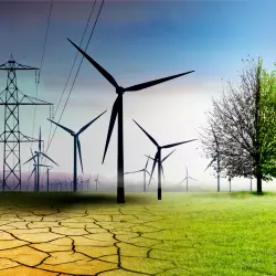 adaptacja zmian klimatu stoi w wielu miejscach w Polsce pod znakiem zapytania