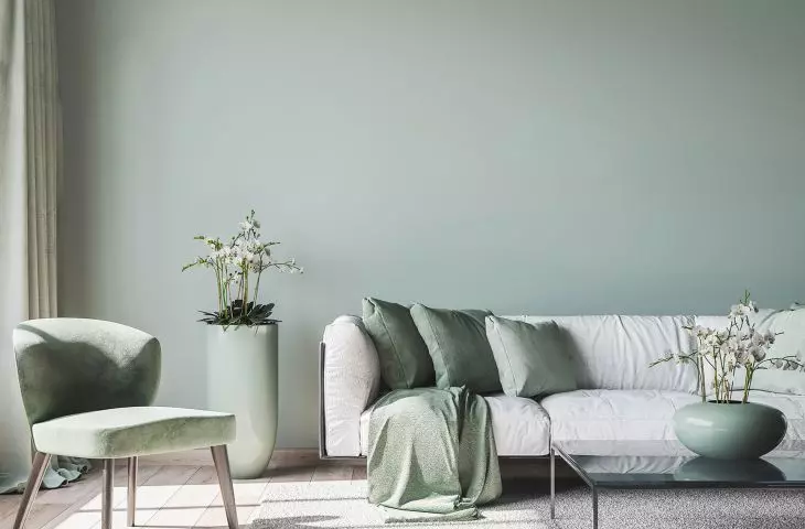 New products from Dryvit - high-quality interior paints in environmentally friendly packaging