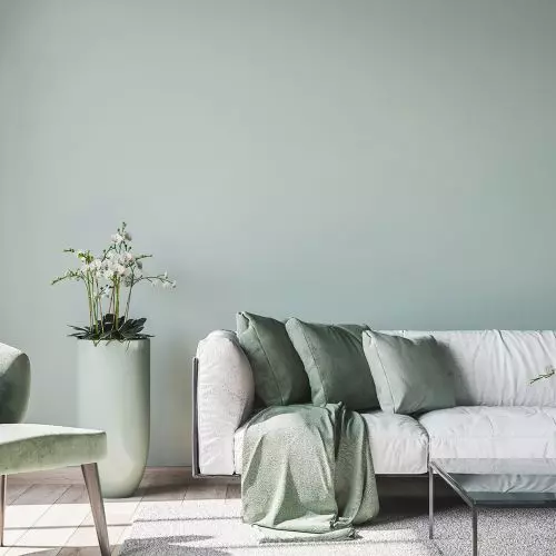 New products from Dryvit - high-quality interior paints in environmentally friendly packaging