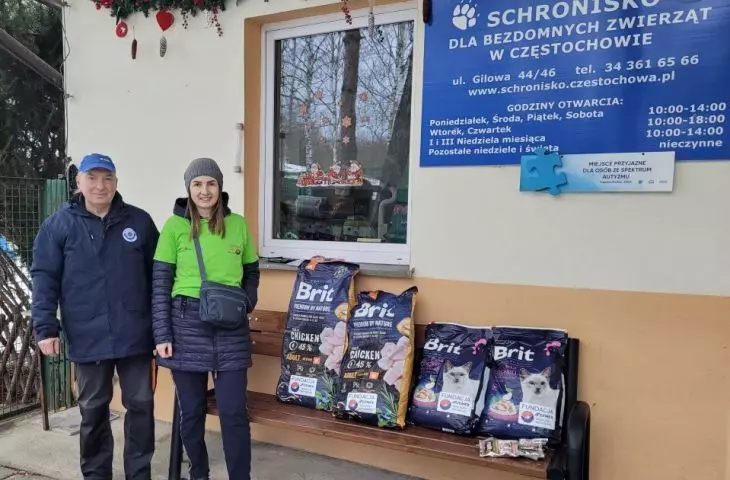 Homeless animals under the wings of the Cemex Foundation