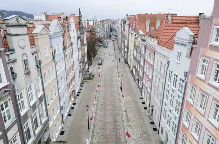 Zieleń musi być priorytetem. Powstaje Gdańska Karta dla Drzew