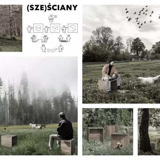 (SZE)ściany