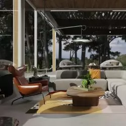 Farnsworth House, salon