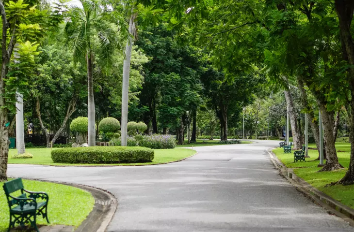 What kind of greenery do our cities need?