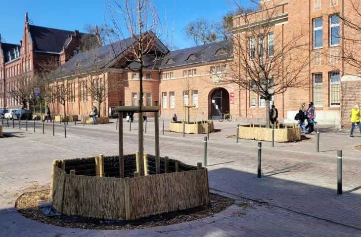 Ulica na szóstkę, parking na jedynkę – dziwne przypadki przestrzeni przed poznańskimi szkołami