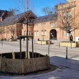 ulica Słowackiego przed SP 36 w Poznaniu, nowy placyk przed szkołą: uspokojony ruch, klinkierowa nawierzchnia, nowa zieleń