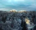 visualization of ALDIN Biodome project