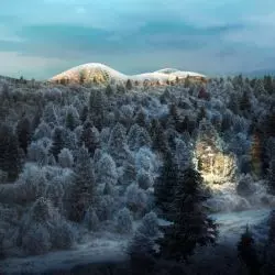 wizualizacja projektu ALDIN Biodome