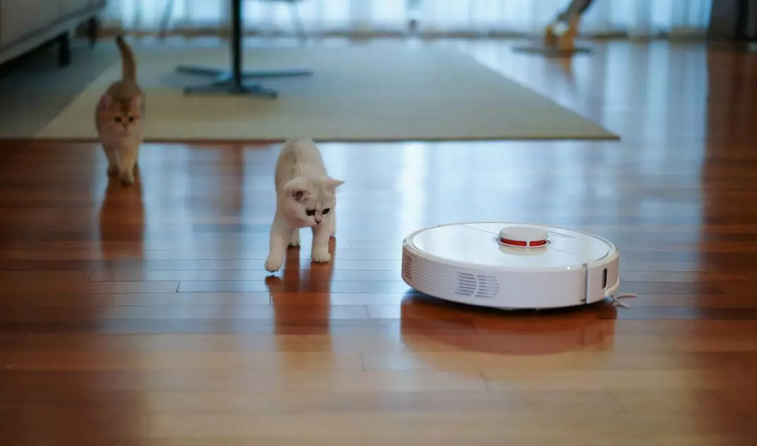 Which cleaning robot will be the best?