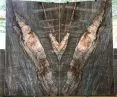 DRAGON quartzite