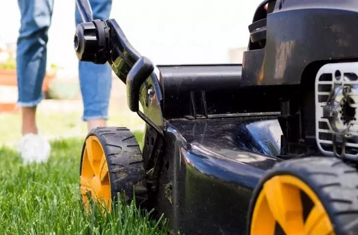 What kind of lawn mower should you choose?