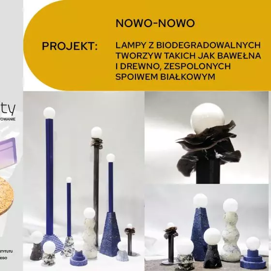 Nagroda Specjalna Polskiej Fundacji Narodowej